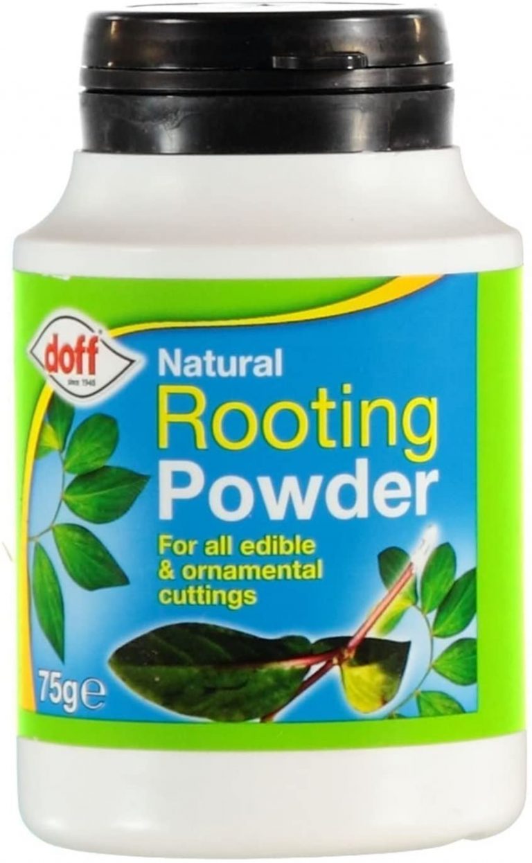 Hormone De Bouturage En Poudre Gamm Vert