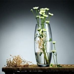 Ваза pasabahce botanica