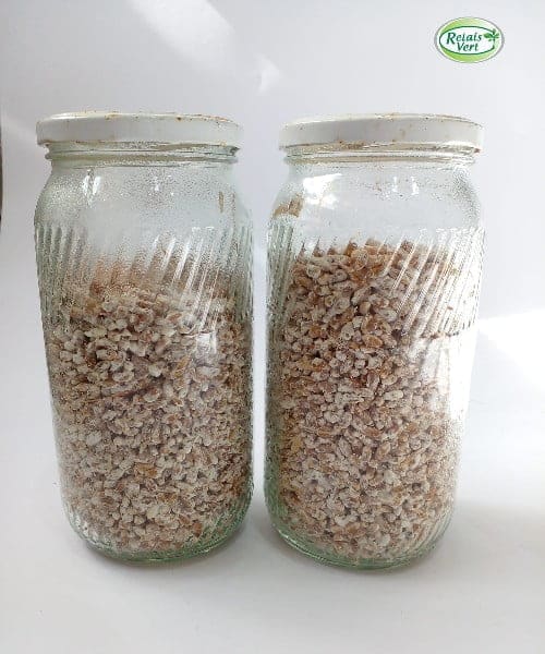 Champignon de Paris