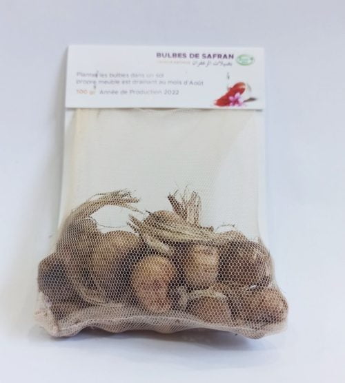 Bulbes de Safran