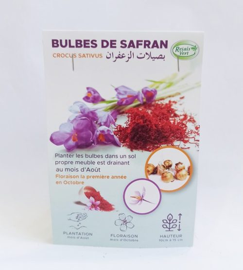 Bulbes de Safran