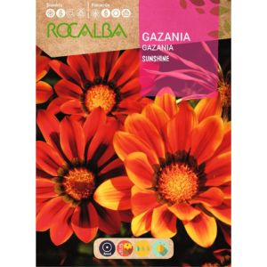 Graine de GAZANIA SUNSHINE