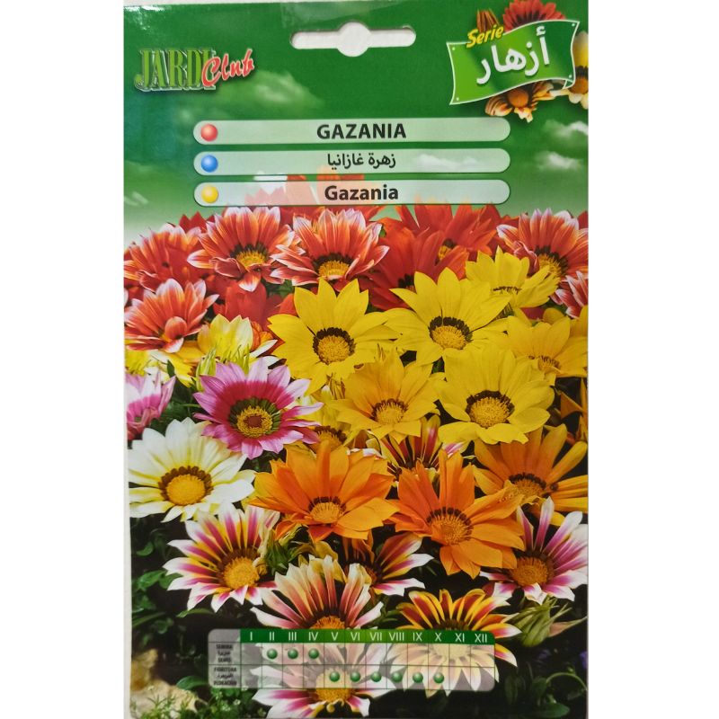 Graine de GAZANIA SUNSHINE