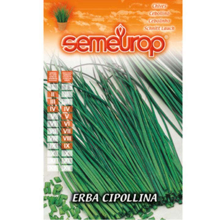 Graines de Ciboulette Erba Cipollina