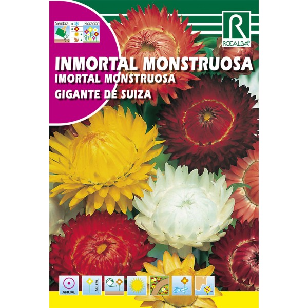 Gaines IMMORTELLE Rocalba