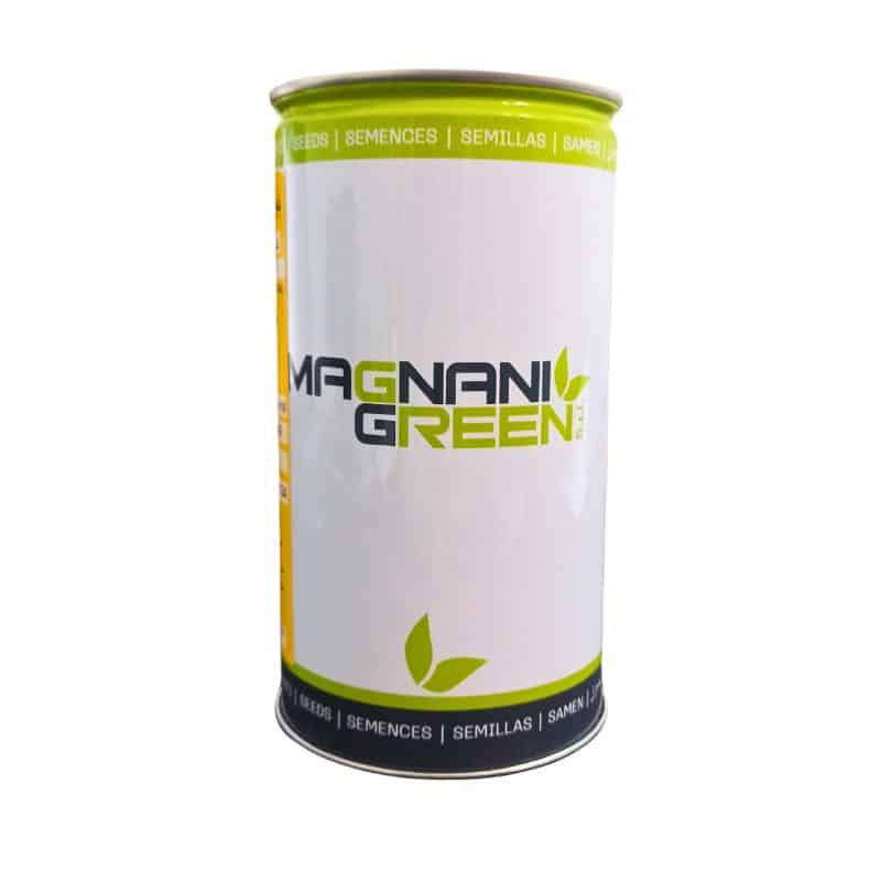 Graines de gazon Kikuyu Magnani Green - Boîte de 500g – Image 3