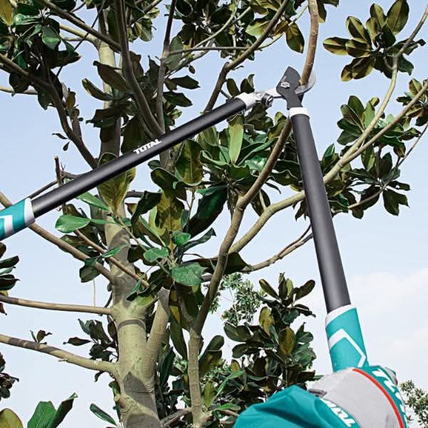 Ensemble de Coupe-Branches Total Tools - 3 Pièces – Image 6