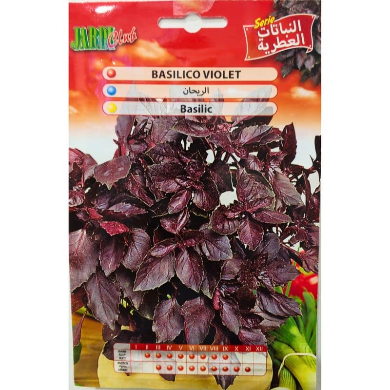 Graines de Basilic Violet