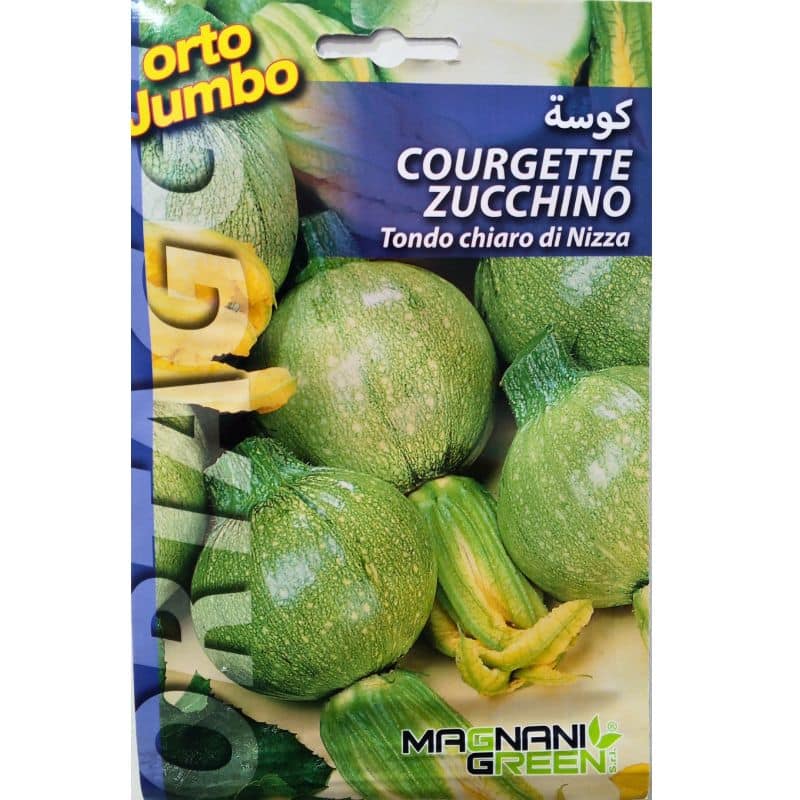 Graines de Courgette Ronde de Nice