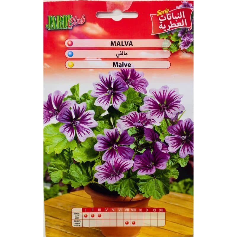 Graines de Malve (Malva sylvestris)
