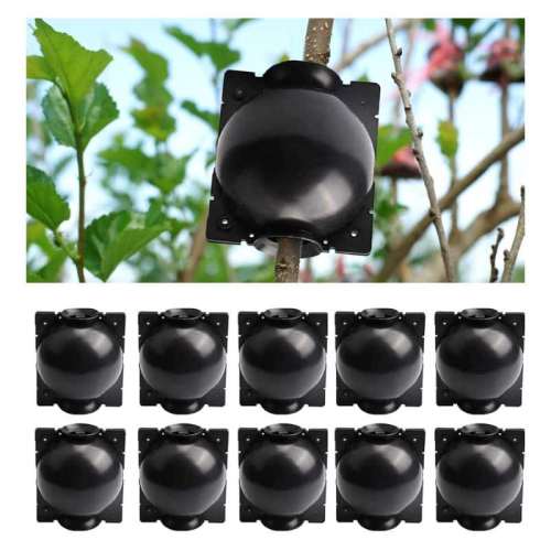 Boule de Marcottage – Pack de 10 pièces – Image 8